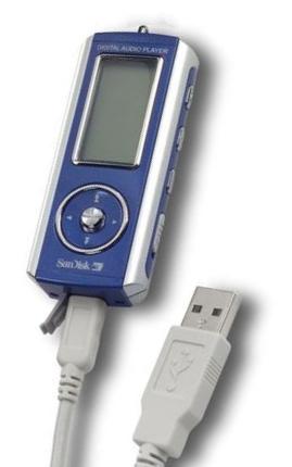 Sandisk Digital 512MB